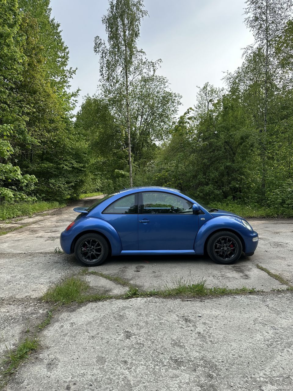 Volkswagen Beetle | 5