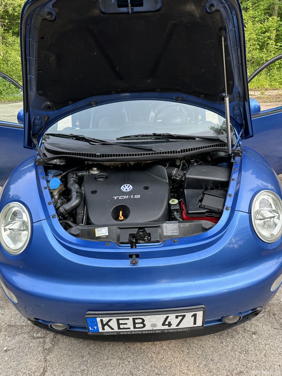 Volkswagen Beetle | 6