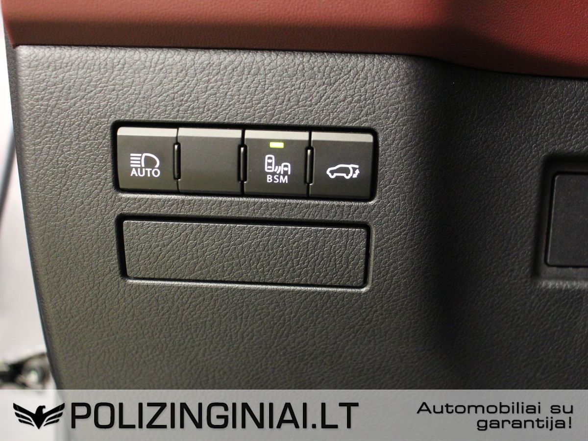 Lexus NX 300h | 12