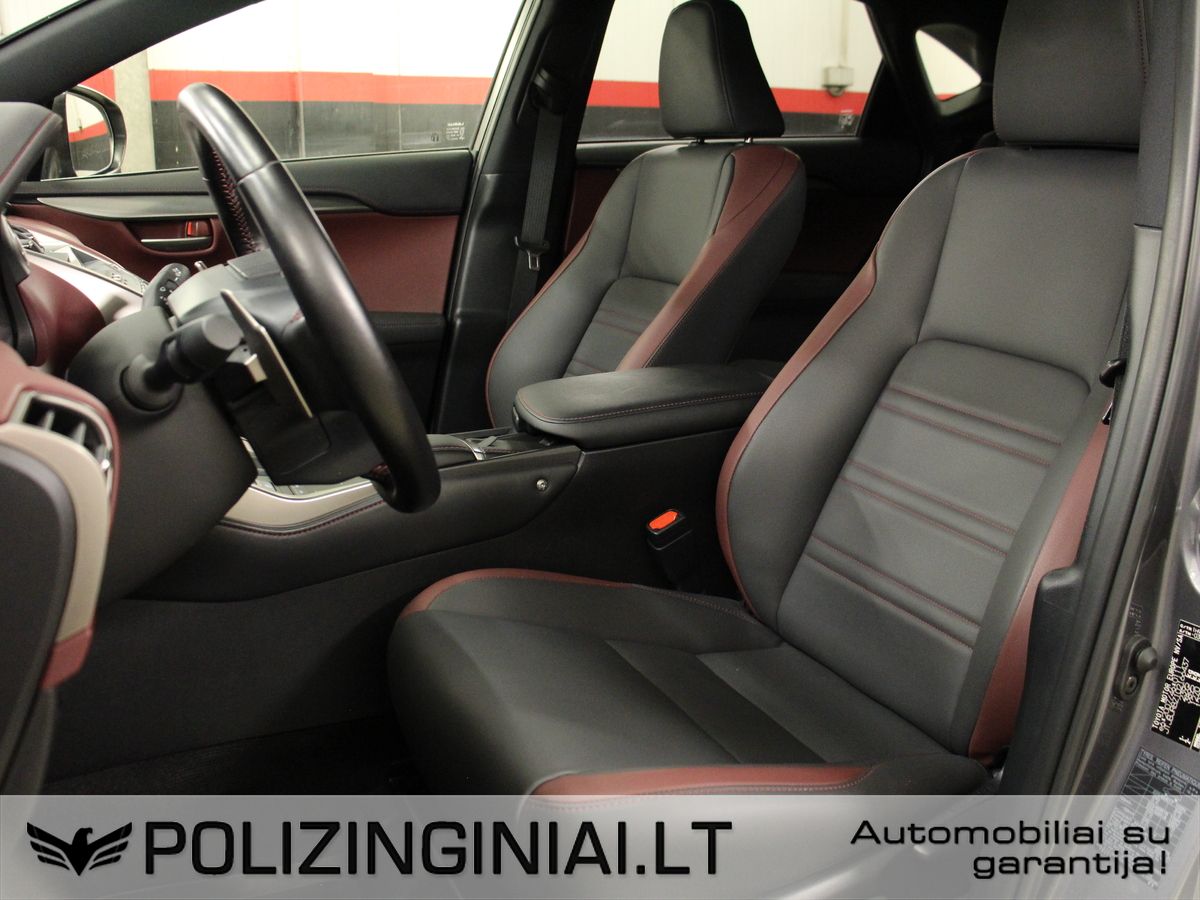Lexus NX 300h | 25