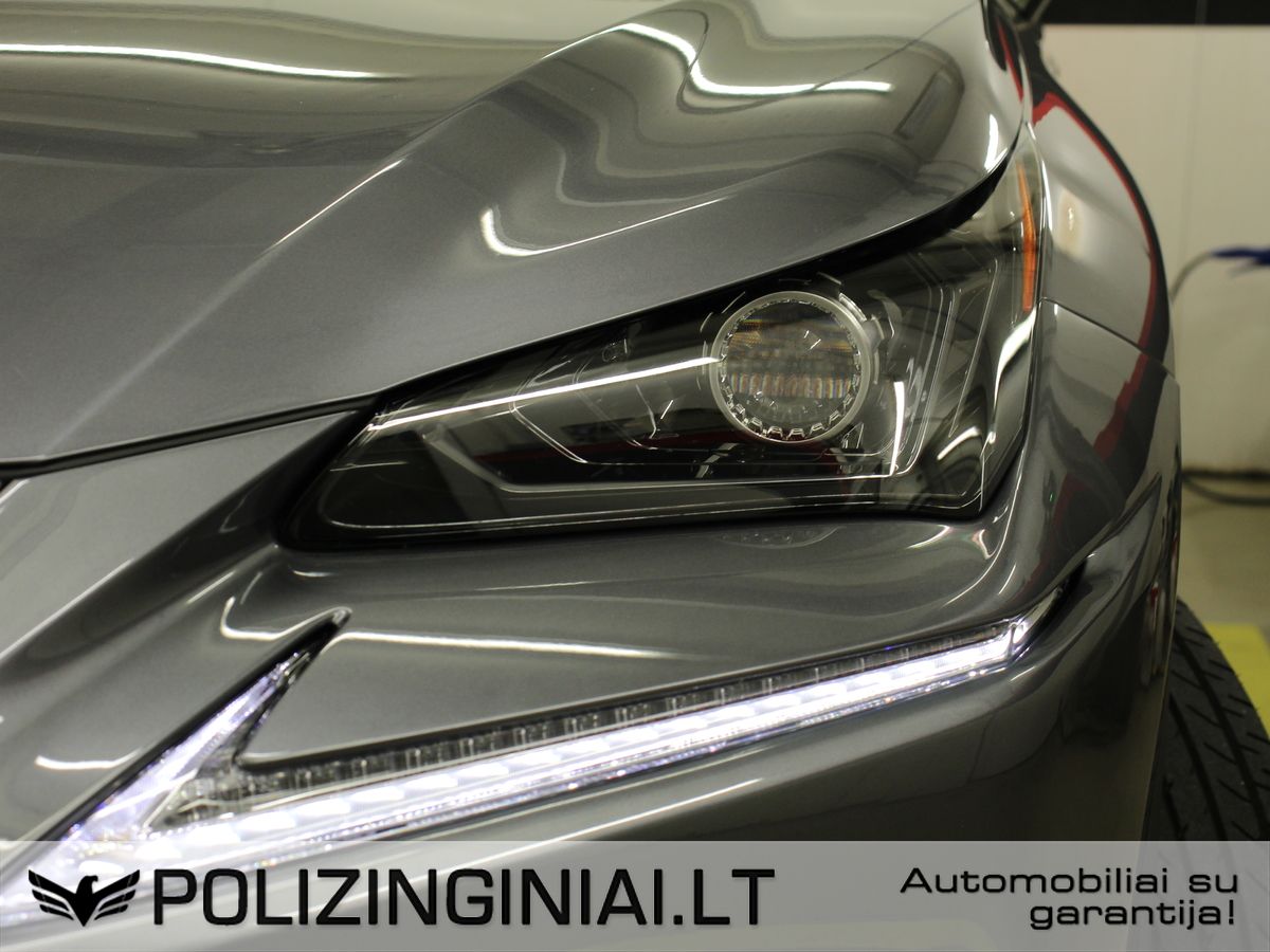 Lexus NX 300h | 30