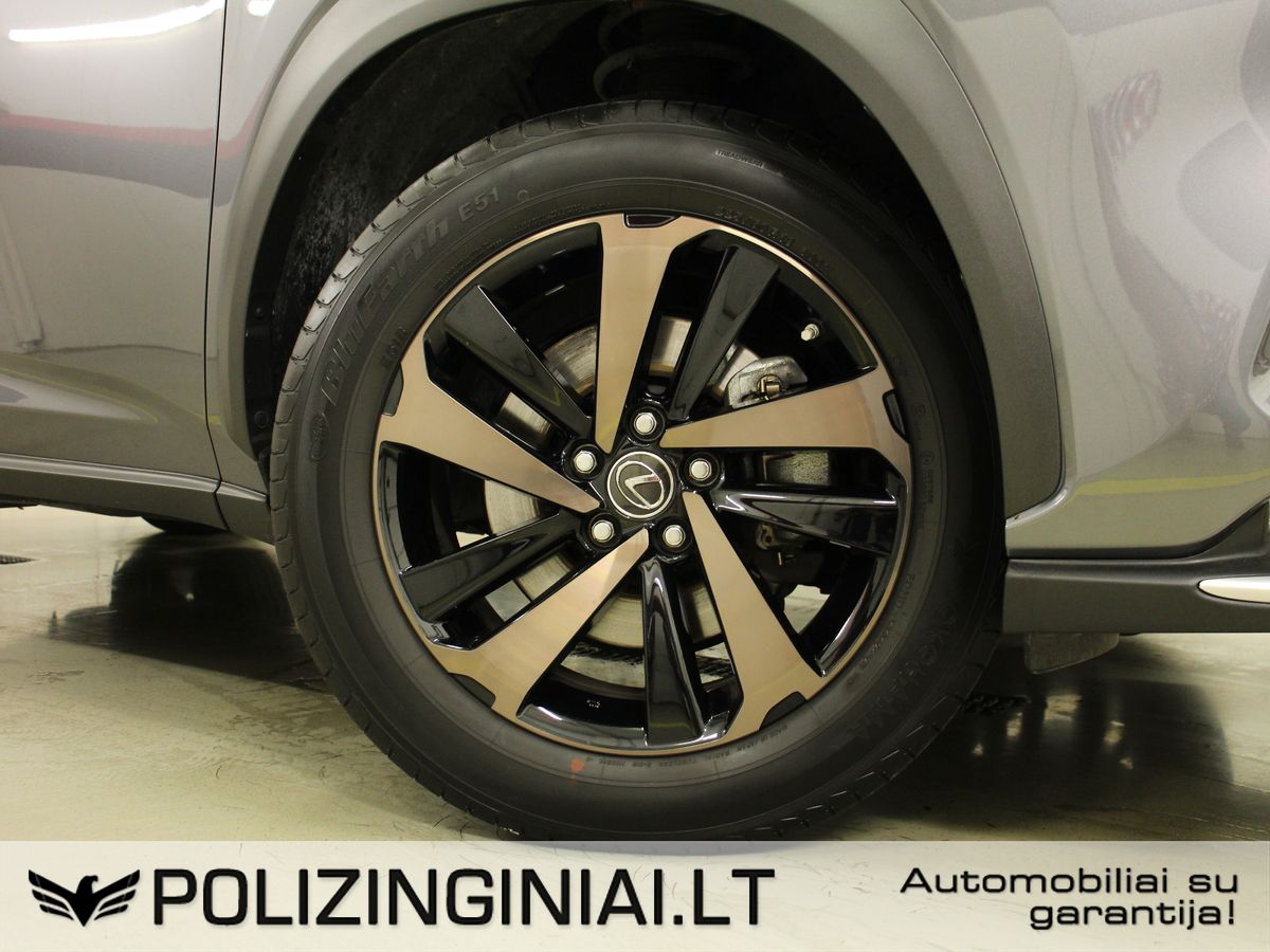 Lexus NX 300h | 31