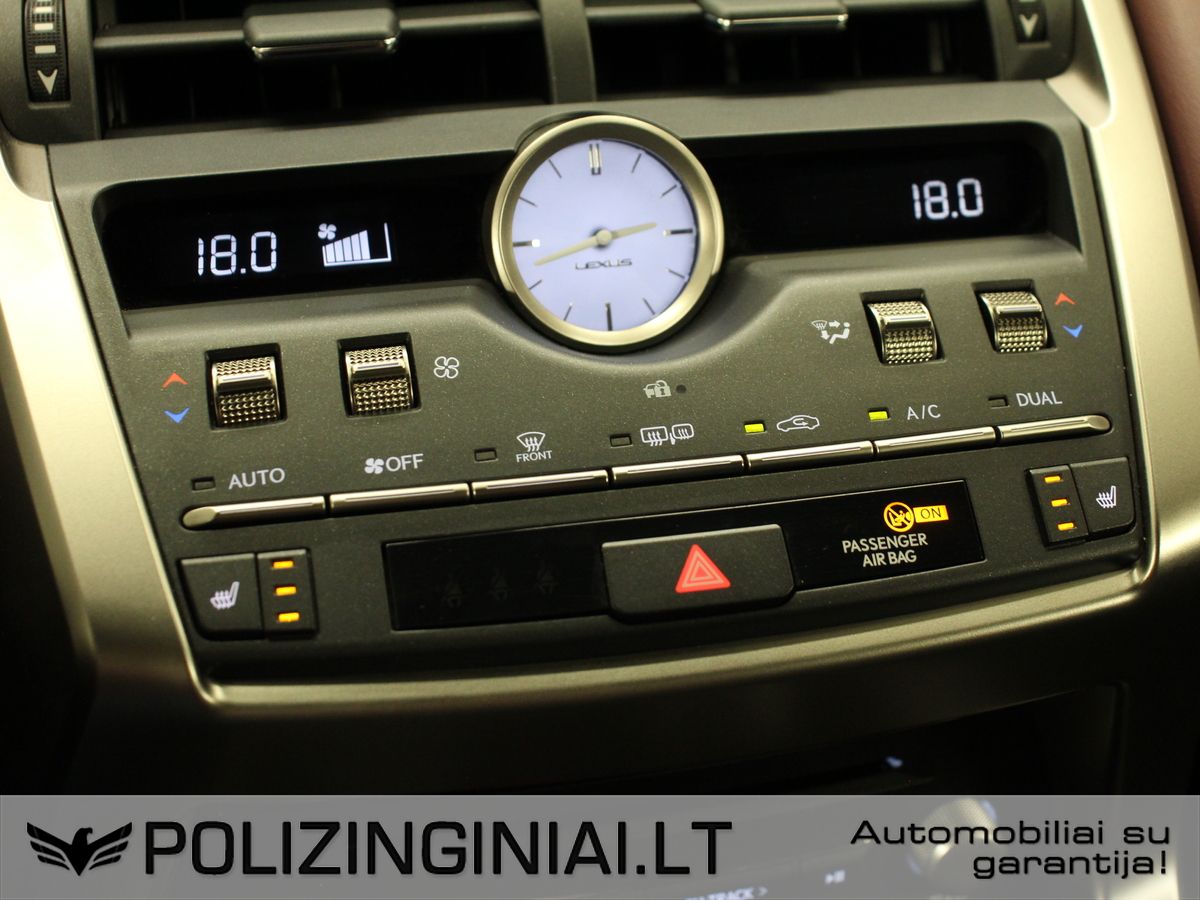 Lexus NX 300h | 21
