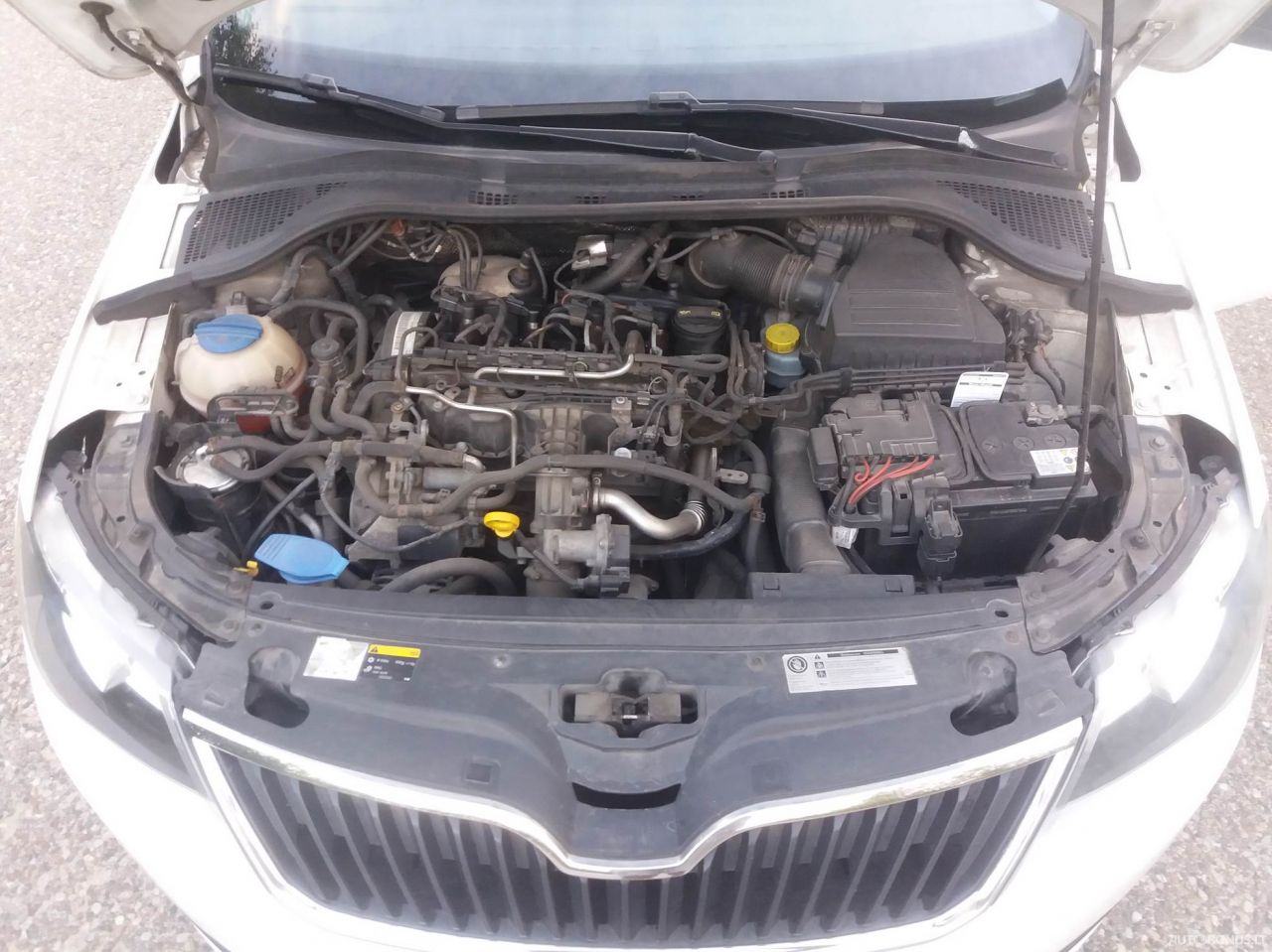 Skoda Rapid | 17