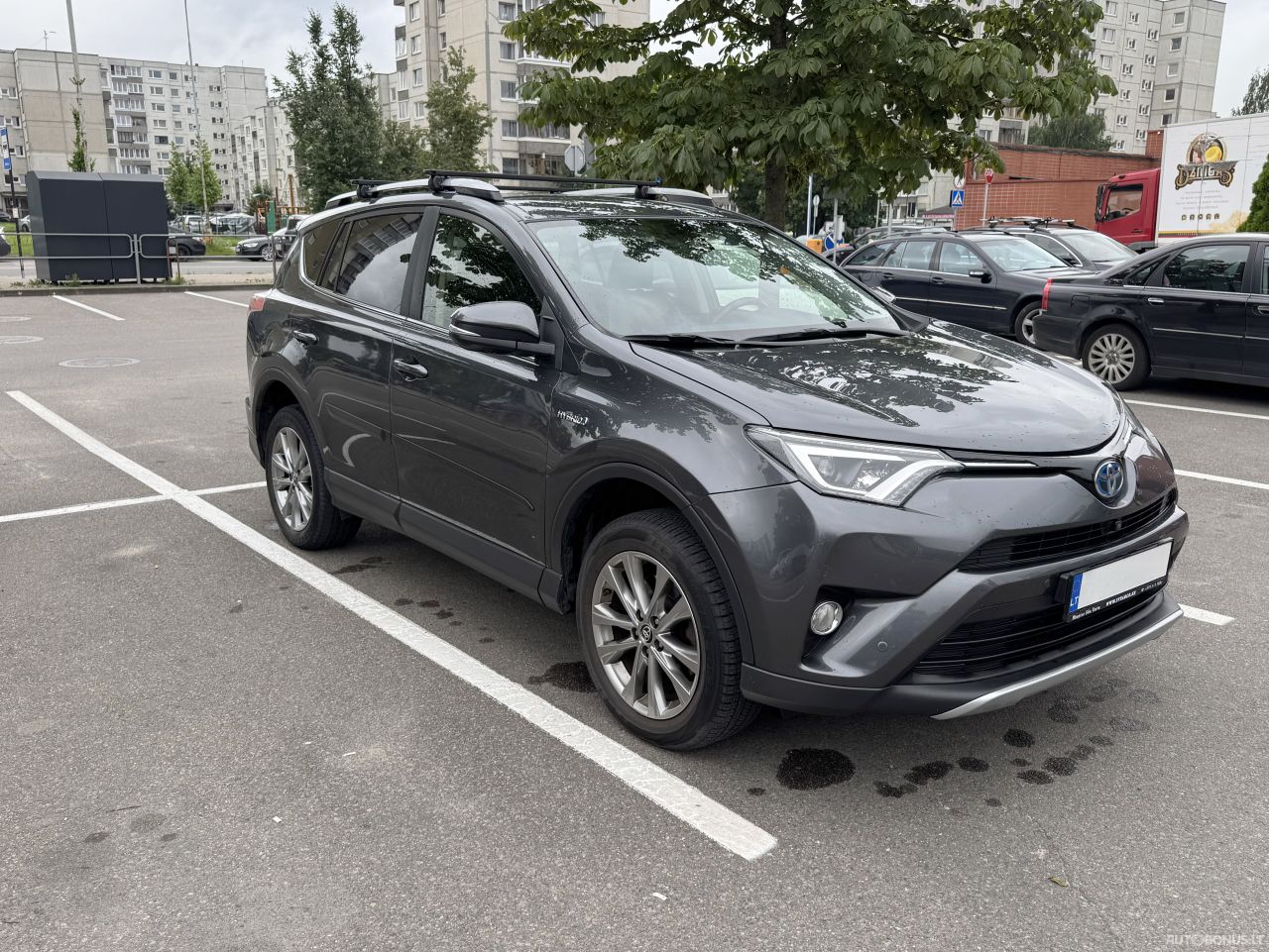 Toyota RAV4 | 17