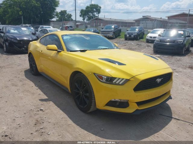 Ford Mustang | 12