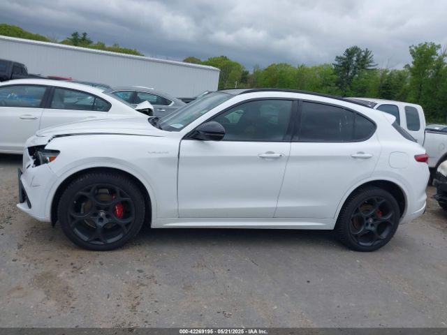 Alfa Romeo Stelvio | 13
