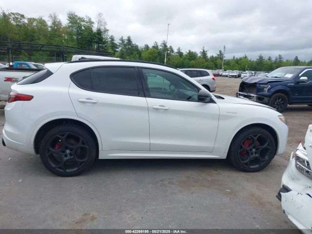 Alfa Romeo Stelvio | 12