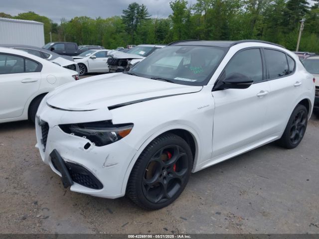 Alfa Romeo Stelvio | 1