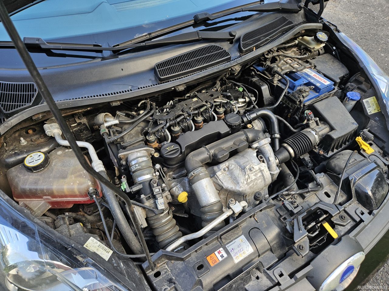Ford Fiesta | 9