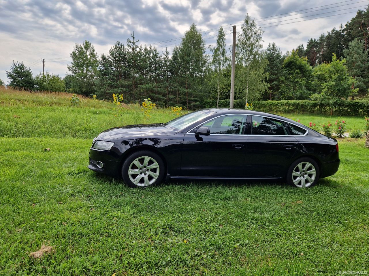 Audi A5 SPORTBACK | 1