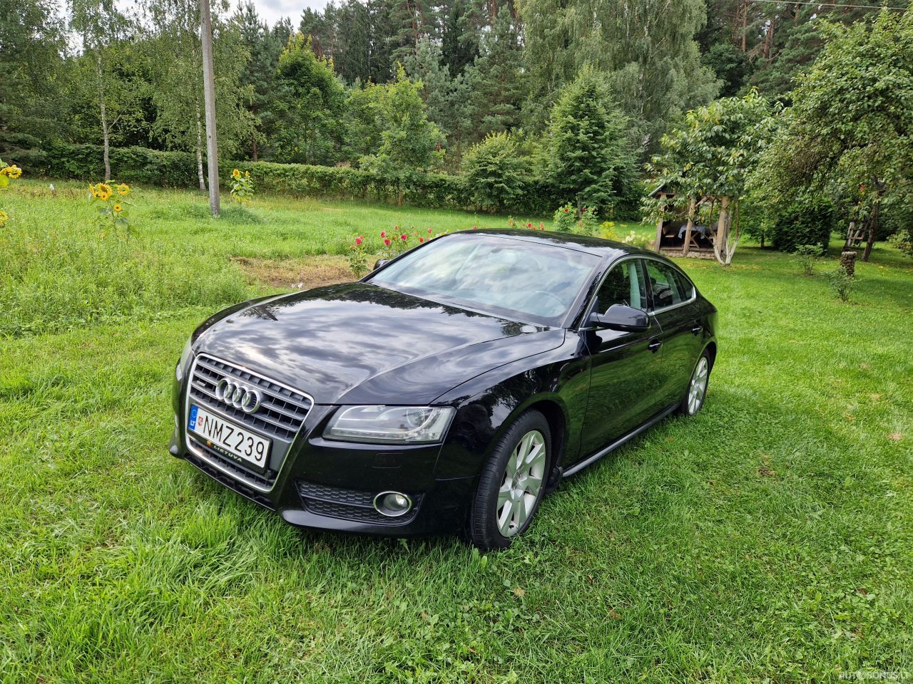 Audi A5 SPORTBACK | 2
