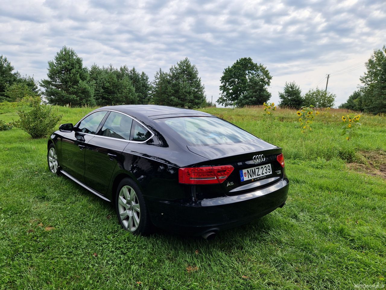 Audi A5 SPORTBACK | 5