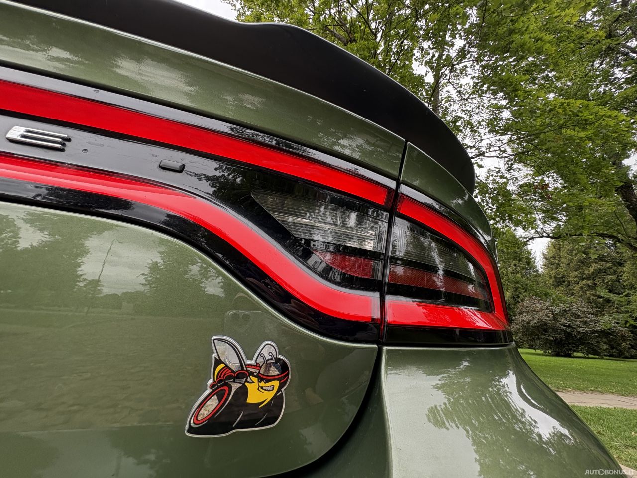 Dodge Charger | 19
