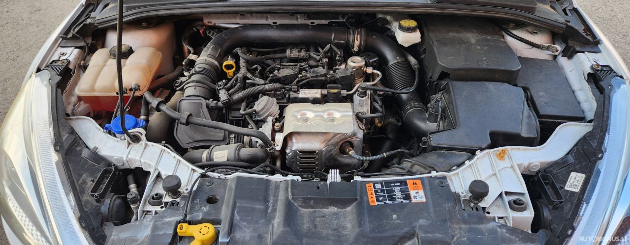 Ford Focus | 18
