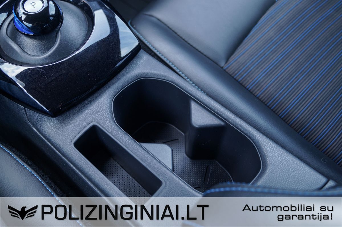 Nissan Leaf | 17