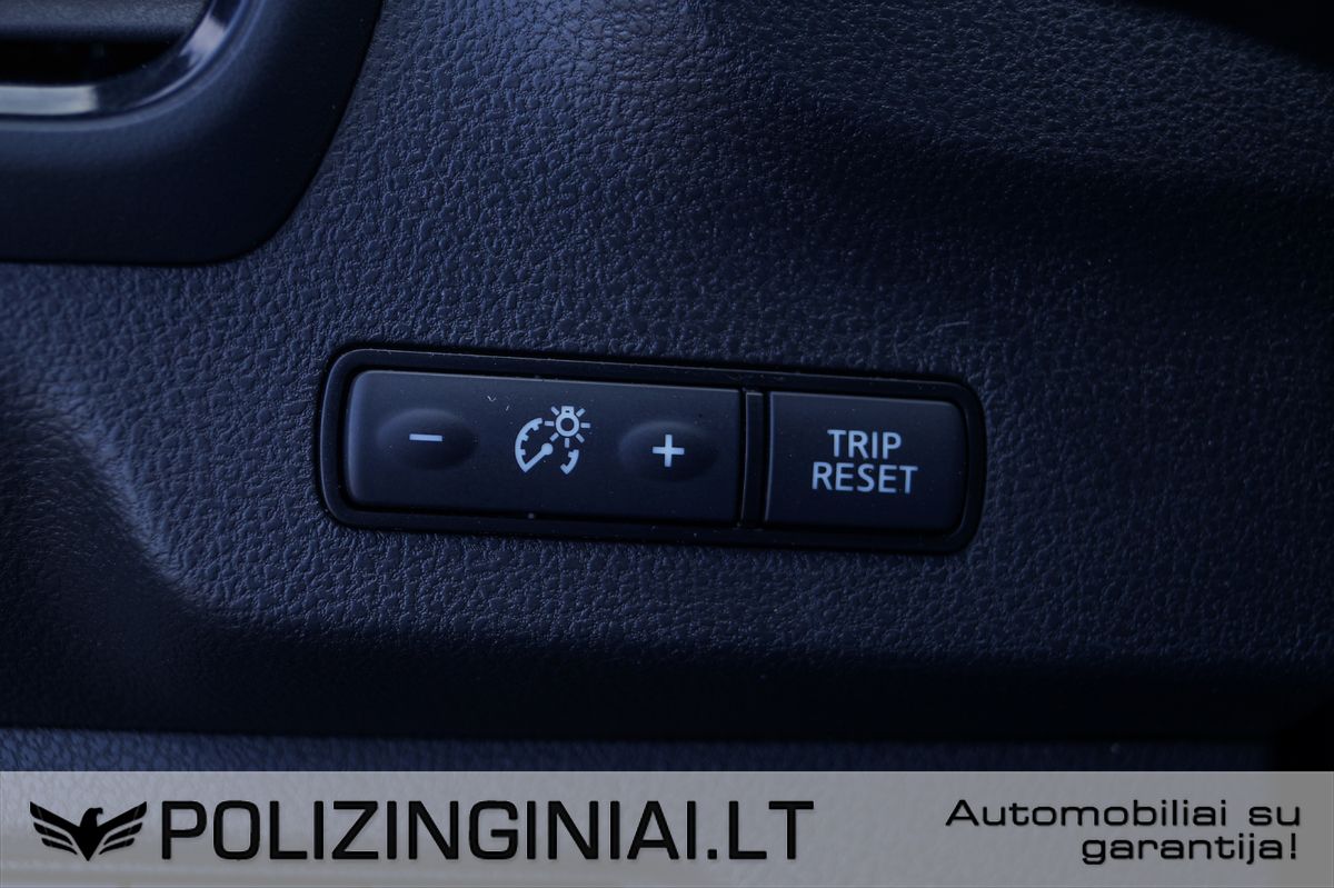 Nissan Leaf | 19