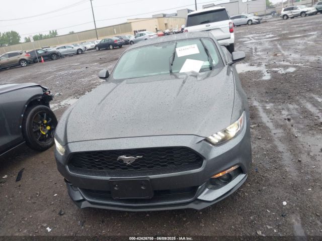 Ford Mustang | 11