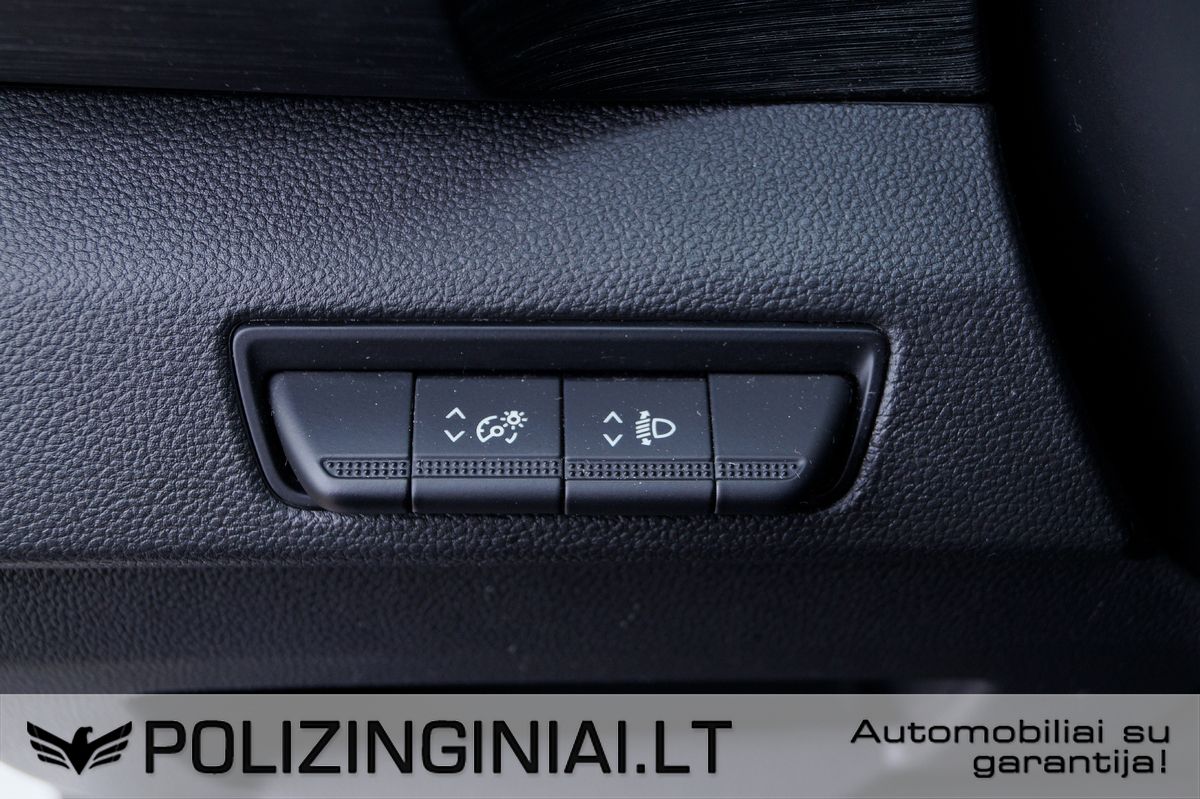 Renault Trafic | 20