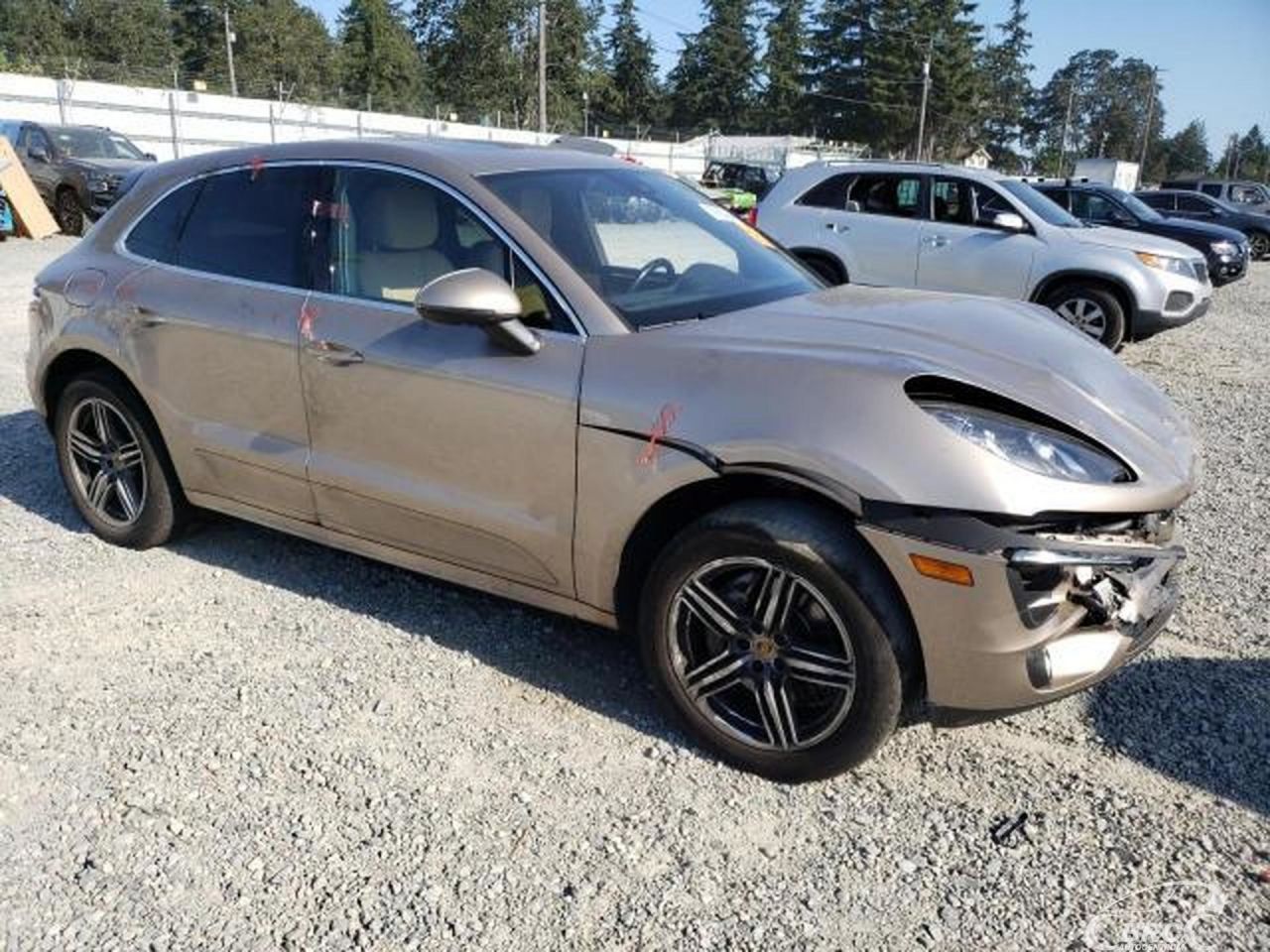 Porsche Macan | 55