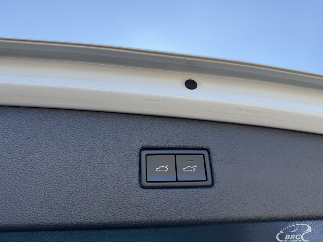 Volkswagen Tiguan | 12