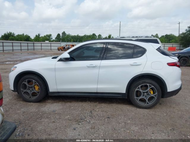 Alfa Romeo Stelvio | 13