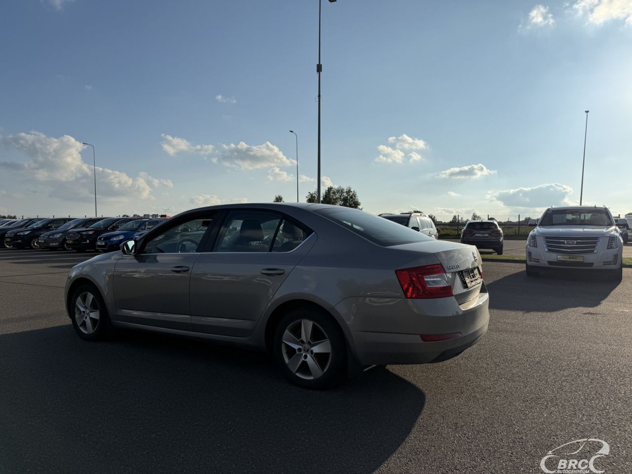 Skoda Octavia | 6