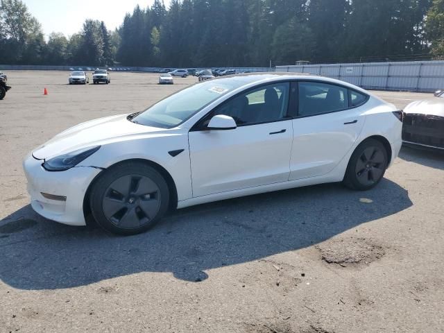 Tesla Model 3, sedanas