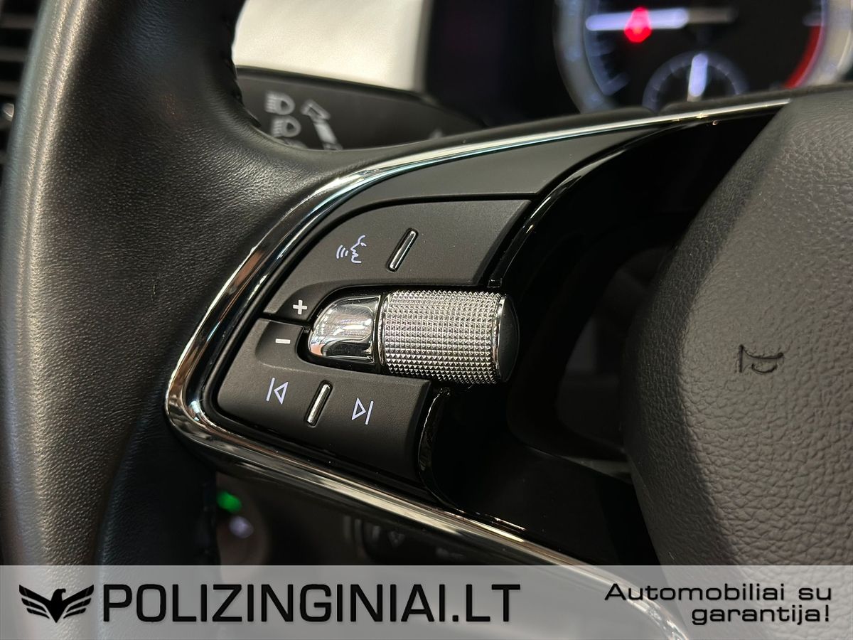 Skoda Kodiaq | 17
