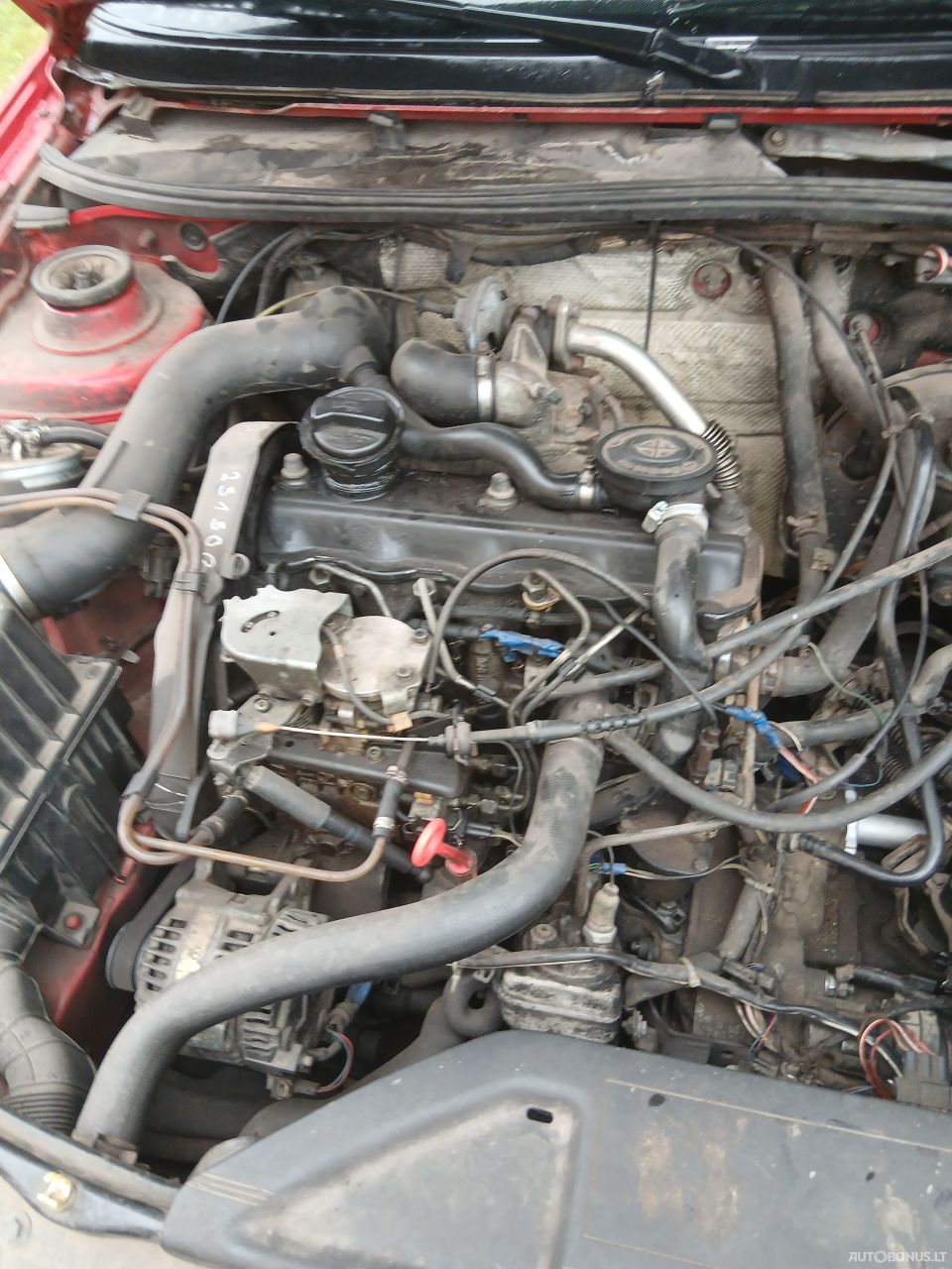 Volkswagen Passat | 6