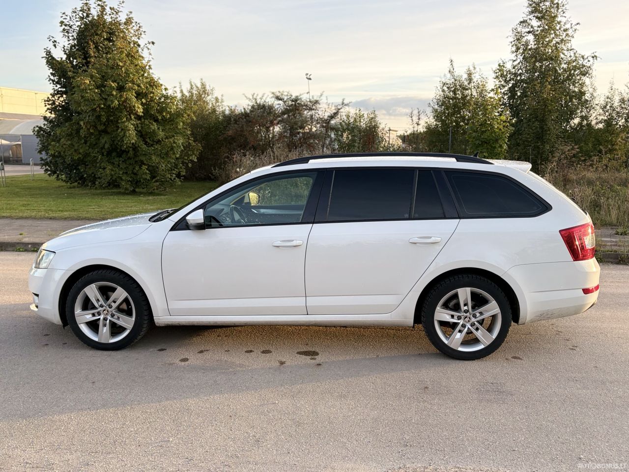 Skoda Octavia | 2