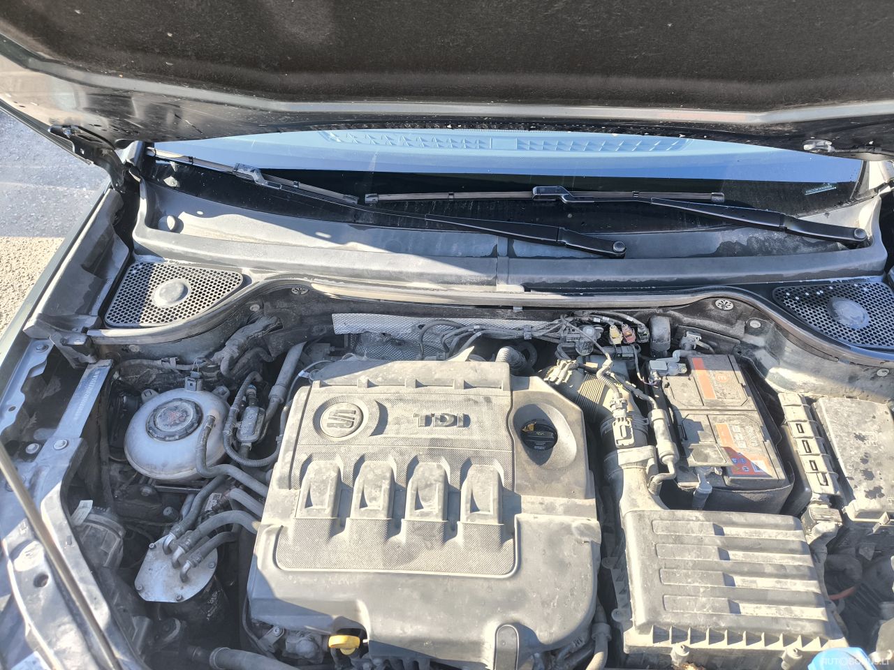 Seat Ateca | 5