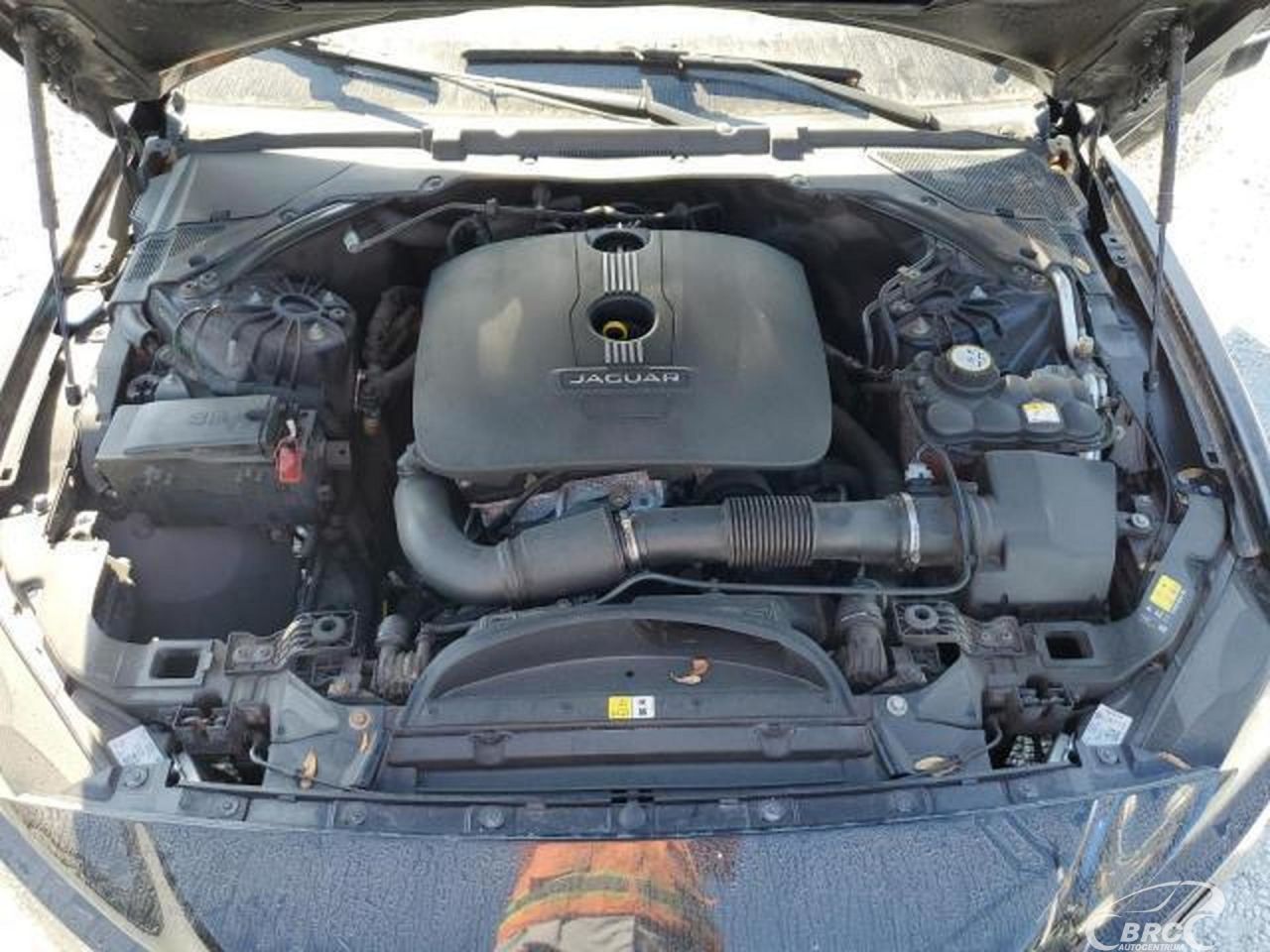 Jaguar XE | 59
