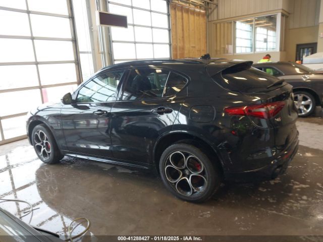 Alfa Romeo Stelvio | 13