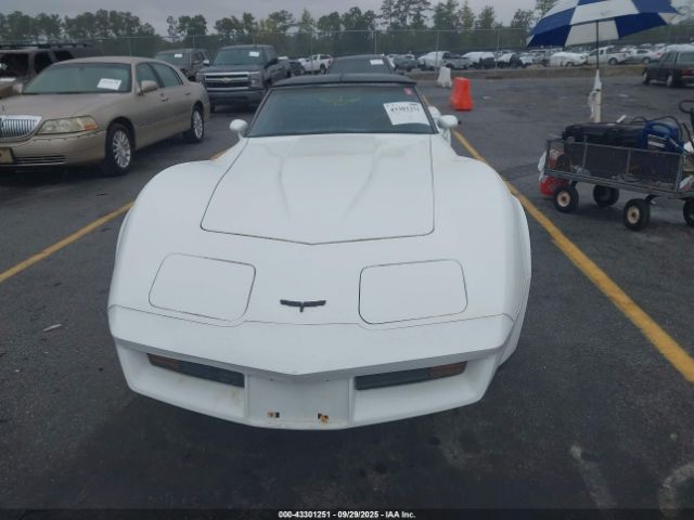 Chevrolet Corvette | 11