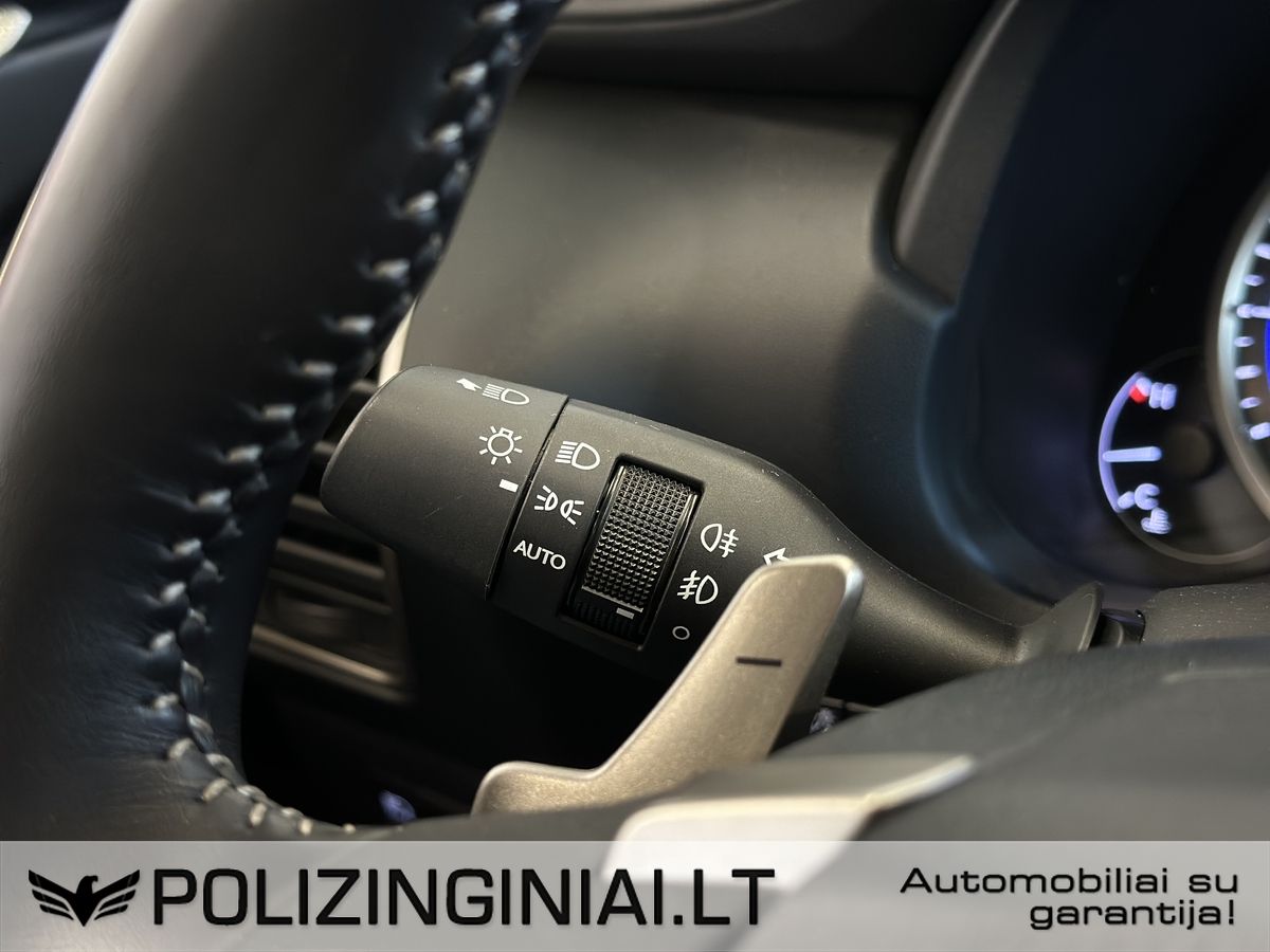 Lexus NX 300h | 18