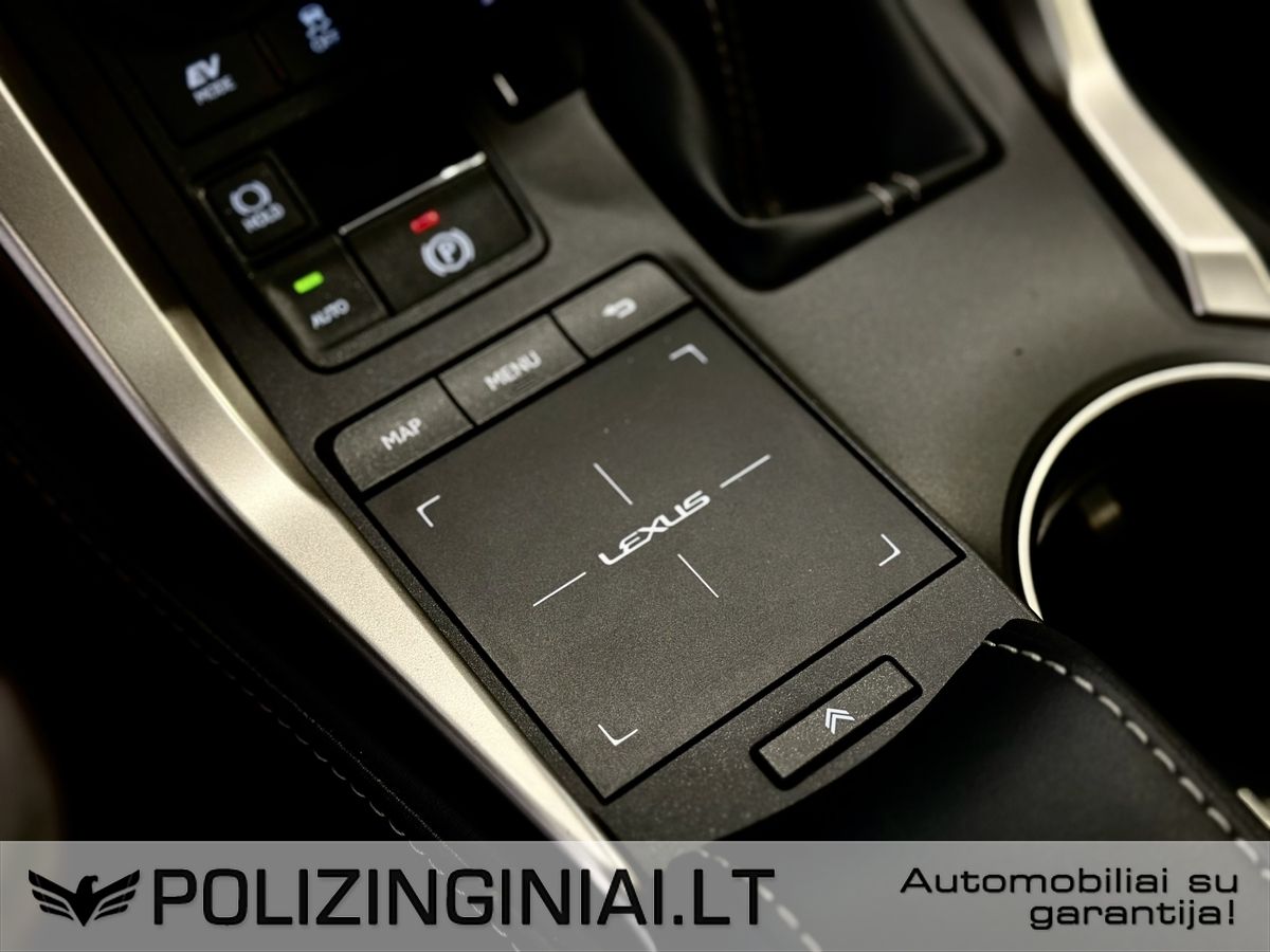 Lexus NX 300h | 14