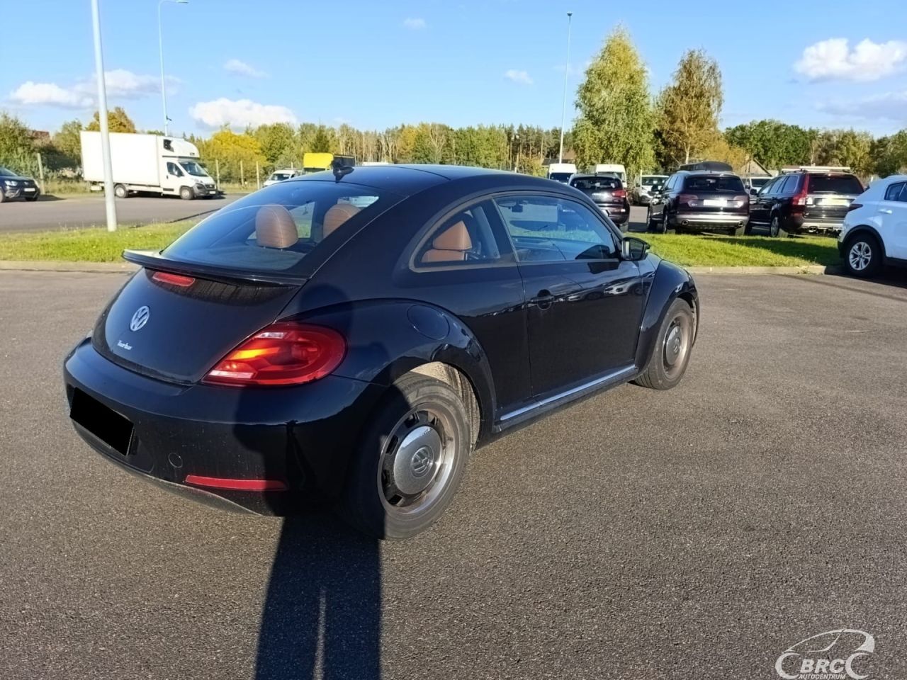 Volkswagen Beetle | 7
