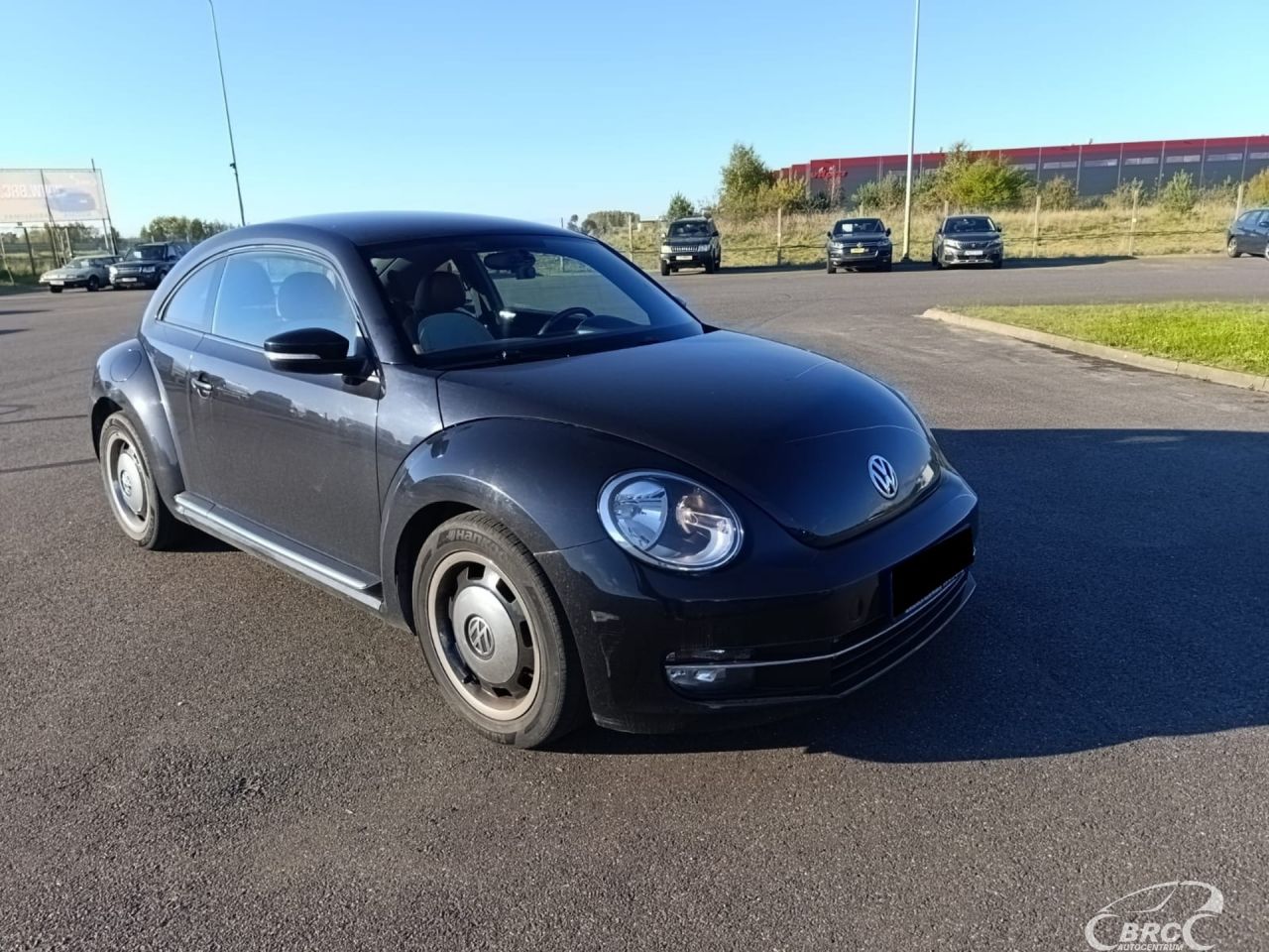 Volkswagen Beetle | 5