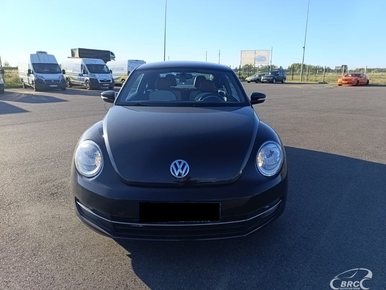 Volkswagen Beetle | 6