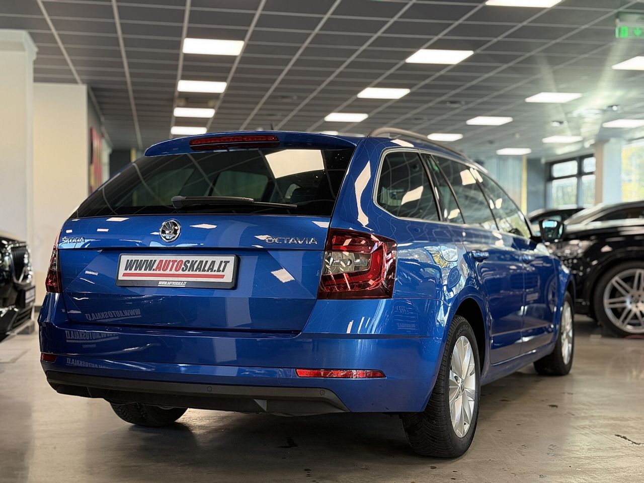Skoda Octavia | 24