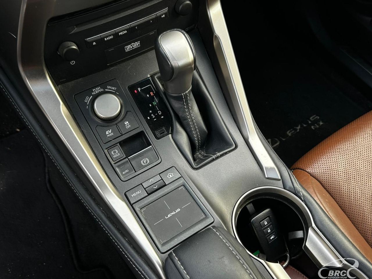 Lexus NX 300h | 18