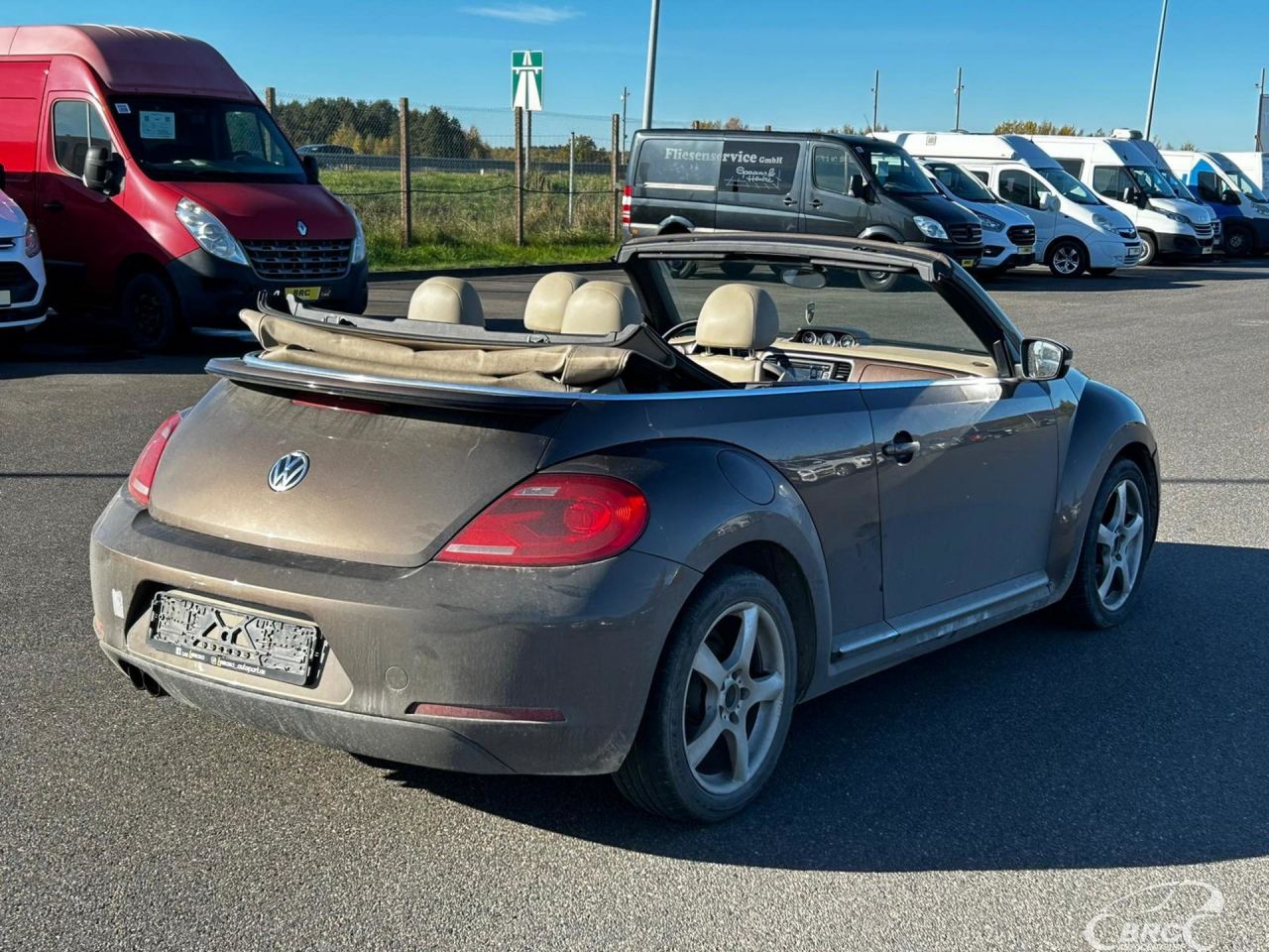 Volkswagen Beetle | 3