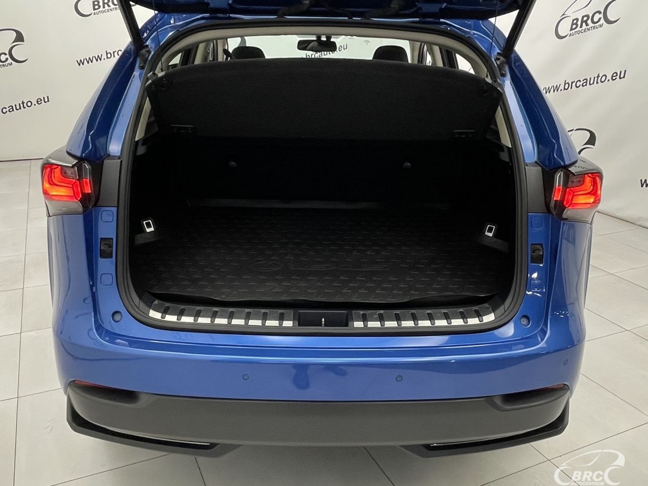 Lexus NX 300h | 46