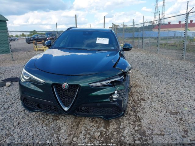 Alfa Romeo Stelvio | 11
