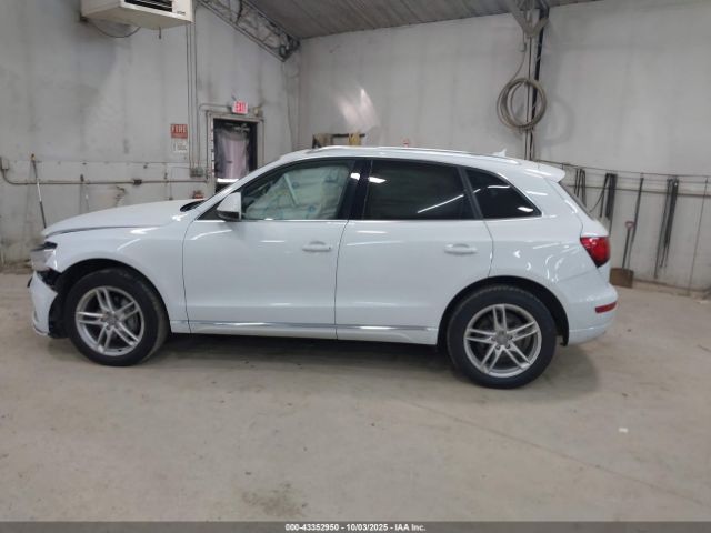 Audi Q5 | 13