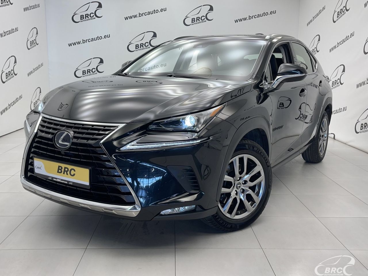 Lexus NX 300h | 45
