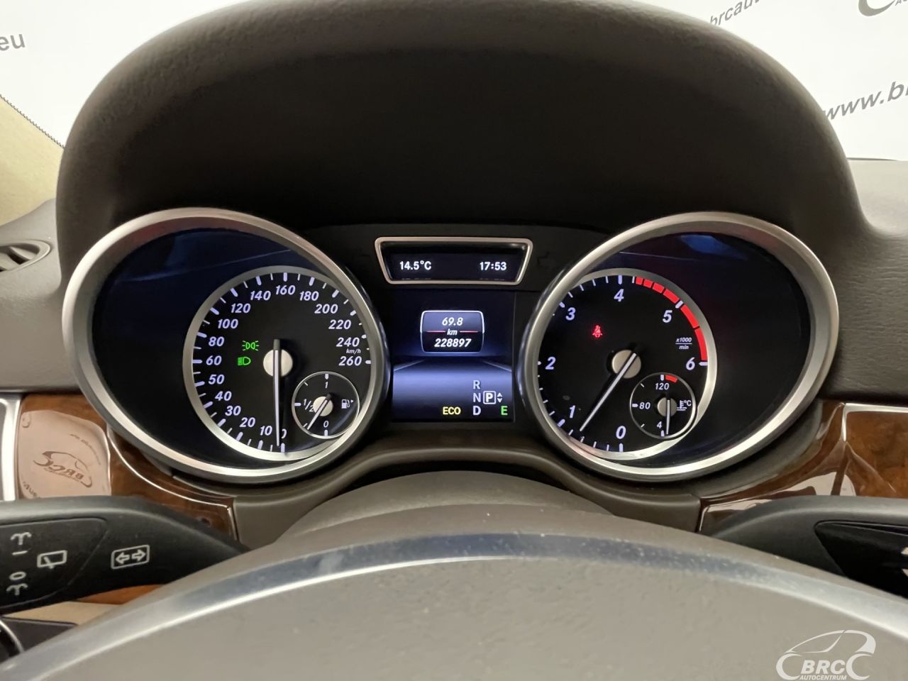 Mercedes-Benz ML250 | 31