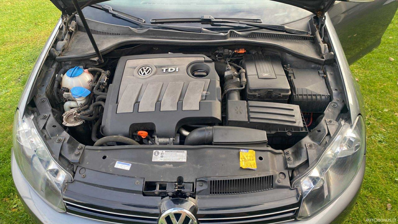 Volkswagen Golf | 7