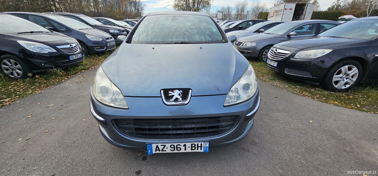 Peugeot 407 | 1